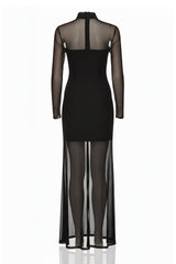 Black Sheer Organza High-Neck Maxi Dress