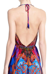 Blue & Red Feather Print Halter Maxi Dress