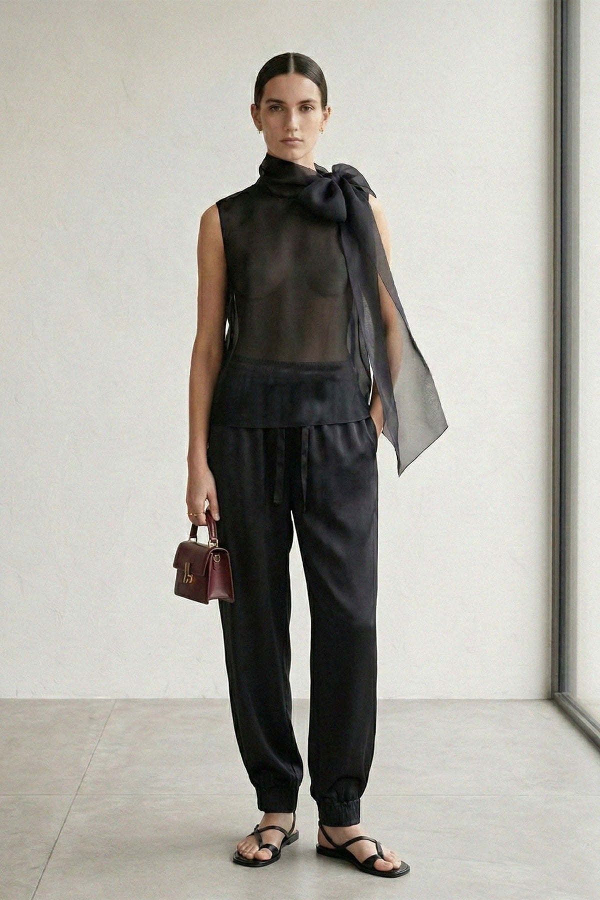 Black Sheer Organza Tie Neck Blouse